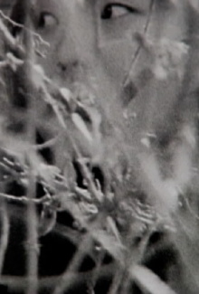 Visible Cinema Trailer