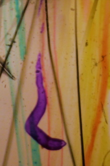 Visions From My Scalp Trailer