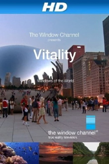 Vitality Trailer