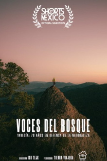 Voces Del Bosque Trailer