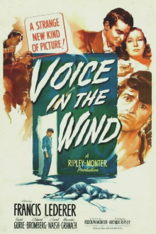 Voice in the Wind Trailer