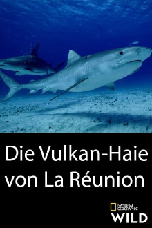 Volcano Sharks Trailer