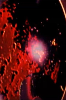 Vortex Trailer