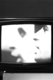 VTR&I Trailer