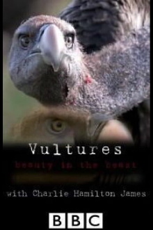 Vultures: Beauty in the Beast Trailer
