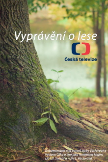 Vyprávění o lese Trailer