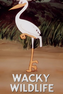 Wacky Wildlife Trailer