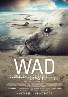 Wad: surviving on the border of water and land Trailer
