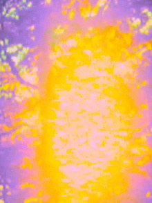 Waking a Dream Trailer