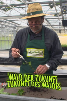 Wald der Zukunft - Zukunft des Waldes Trailer