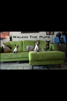 Walkin The Pups Trailer