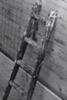 Wall Trailer