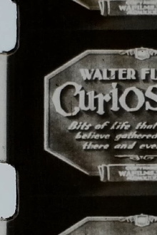 Walter Futter's Curiosities Trailer