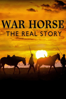War Horse: The Real Story Trailer