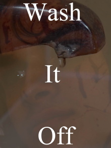 Wash It Off Trailer