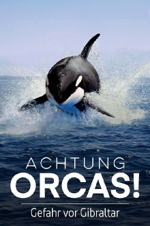 Watch Out for Orcas! Danger Off Gibraltar? Trailer
