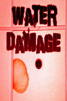 Water Damage Trailer