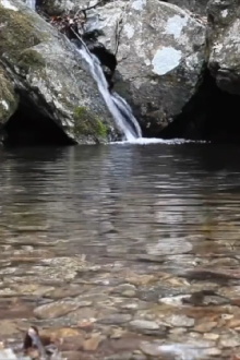 Water, Star Medicine Trailer