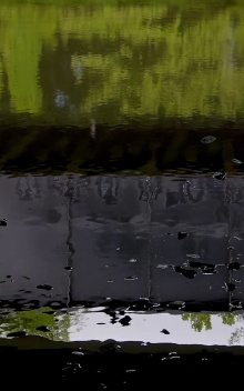 Watercolor (Fall Creek) Trailer
