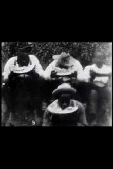 Watermelon Contest Trailer