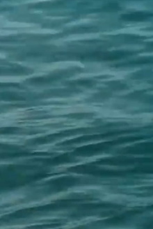 Waveforms Trailer