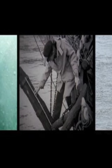 We Account the Whale Immortal Trailer