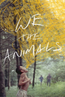 We the Animals Trailer