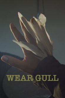 Wear Gull Trailer