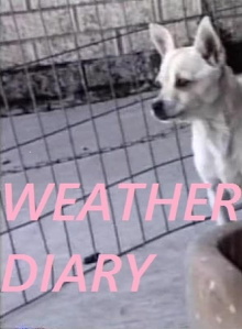 Weather Diary 3 Trailer
