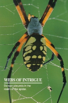 Webs of Intrigue Trailer