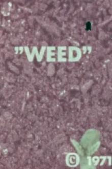 WEED Trailer