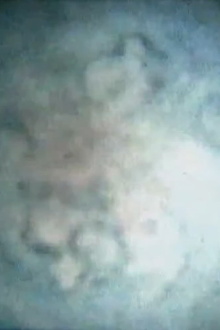 Wellspring Trailer