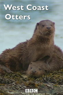 West Coast Otters Trailer