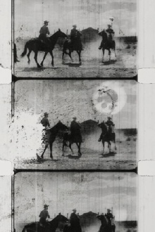 Western Sunburn Trailer