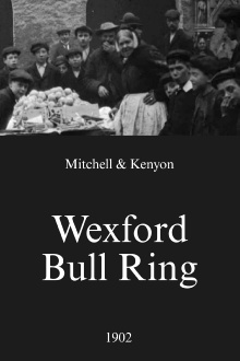 Wexford Bull Ring Trailer