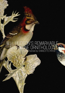 W.H. Hudson’s Remarkable Argentine Ornithology Trailer