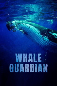 Whale Guardian Trailer