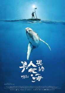 Whale Island Trailer