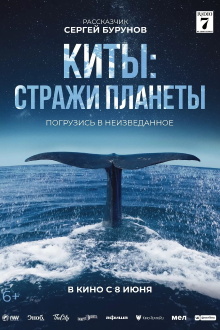 Whale Nation Trailer