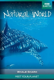 Whale Shark Trailer