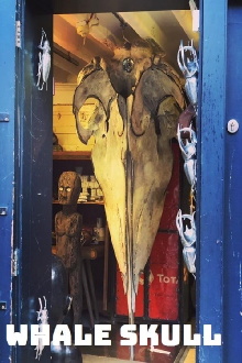 Whale Skull Trailer