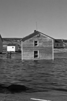 Whalehead Trailer