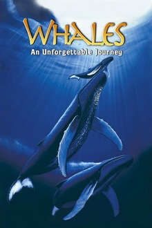 Whales: An Unforgettable Journey Trailer