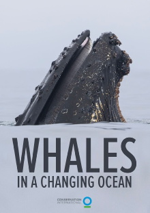 Whales in a Changing Ocean Trailer