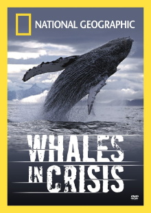 Whales in Crisis Trailer