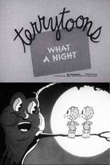 What a Night Trailer