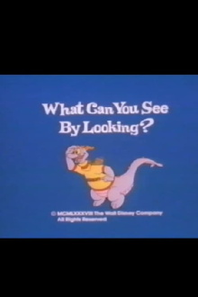 What Can You See by Looking? Trailer