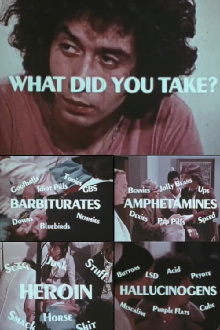 What Did You Take? Trailer