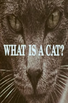 What Is a Cat? Trailer
