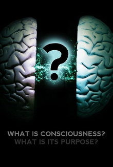 What Is Consciousness? What Is Its Purpose? Trailer
